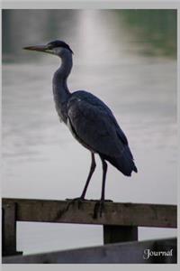 Journal: Heron on the cover - Blank lined notebook for writing - Makes a great gift