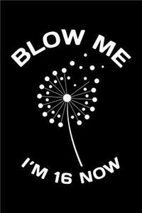 Blow Me Im 16 Now: Funny 16th Birthday Gift For Men Blank Lined Journal Notebook