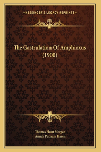 Gastrulation Of Amphioxus (1900)