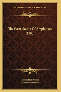 The Gastrulation Of Amphioxus (1900)