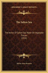 The Salton Sea