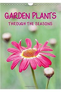 Garden Plants Through the Seasons 2017