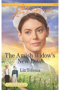 The Amish Widow's New Love