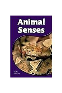 Animal Senses Animal Senses