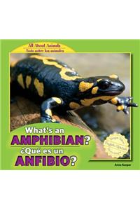 What's an Amphibian? / ¿Qué Es Un Anfibio?