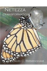 Netezza Transformation