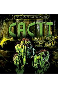 Cacti Barely Need Water!
