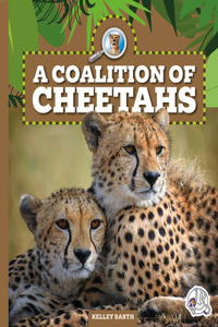 Coalition of Cheetahs