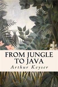 From Jungle to Java