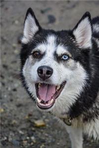 Happy Siberian Husky Dog Journal