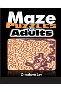 Maze Puzzles For Adults