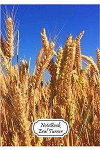 Journal Notebook Diary Wheat: Pocket Notebook Journal Diary