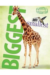 Biggest and Smallest