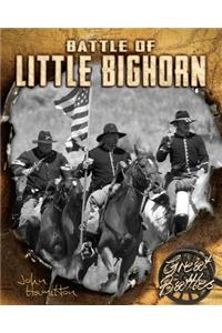 Battle of Little Bighorn
