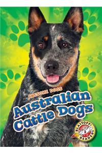 Australian Cattle Dogs