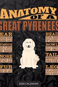 Anatomy Of A Great Pyrenees