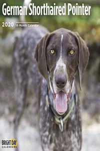 GERMAN SHORTHAIRED POINTER 2020