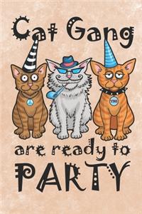 Cat Gang Are Ready To Party