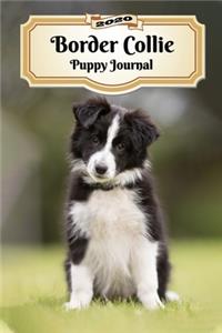 2020 Border Collie Puppy Journal