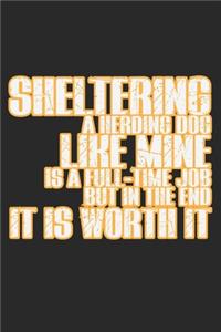 Sheltering A Herding Dog Like Mine Is A Full-Time Job But In The End It Is Worth It