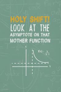 Holy Shift! Look At The Asymptote On That Mother Function