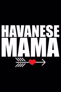 Havanese Mama