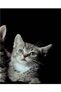 School Composition Book Three Cute Kittens Cat Photo 130 Pages