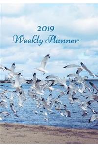 2019 Weekly Planner