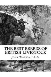 Best Breeds of British Livestock