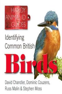 Identifying Common British Birds