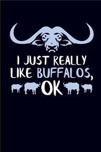 I Just Really Like Buffalos, Ok