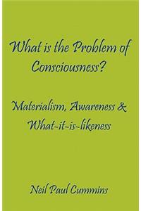 What is the Problem of Consciousness?: Materialism, Awareness & What-it-is-likeness