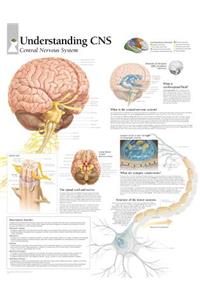 Understanding CNS Paper Poster
