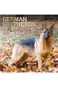 German Shepherds 2021 Square Foil