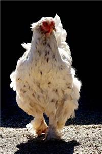 Mighty Proud Chicken Journal