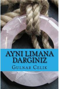 Ayni Limana Darginiz