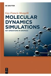 Molecular Dynamics Simulations