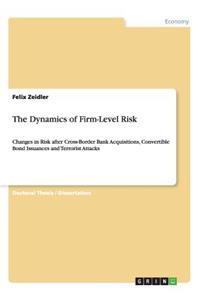 Dynamics of Firm-Level Risk