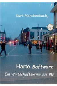 Harte Software: Ein Wirtschaftskrimi aus PB