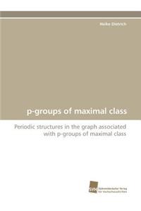 P-Groups of Maximal Class