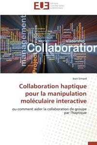 Collaboration Haptique Pour La Manipulation Moléculaire Interactive
