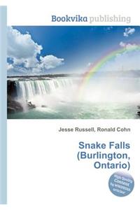 Snake Falls (Burlington, Ontario)