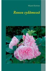 Ruusu sydämessä