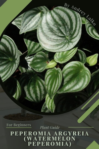 Peperomia argyreia (Watermelon peperomia)