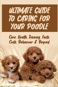 Ultimate Guide To Caring For Your Poodle