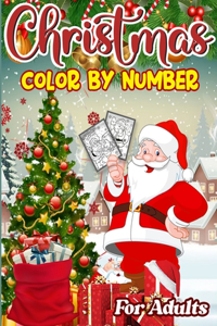 Christmas Color By Number For Adults