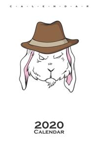 Rabbit detective Calendar 2020