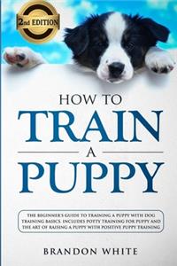 How to Train a Puppy