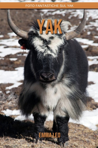 Yak