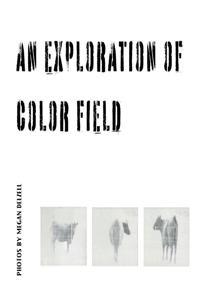 Exploration In Color Field